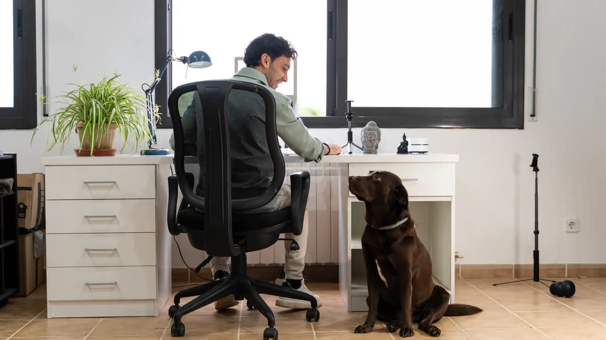 El precio de la comodidad: ¿Trabajar desde casa significa ganar menos?
